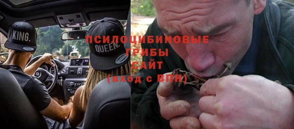 молекула духа Богданович