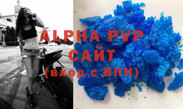 молекула духа Богданович
