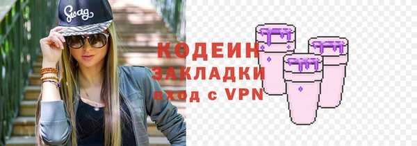 молекула духа Богданович