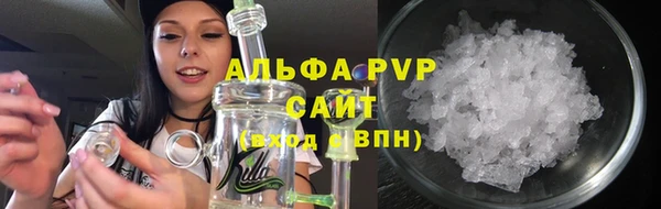 молекула духа Богданович
