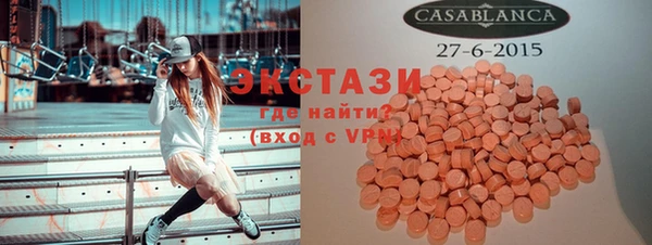 молекула духа Богданович