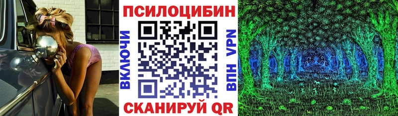 Галлюциногенные грибы MAGIC MUSHROOMS  Купить где  Байкальск 